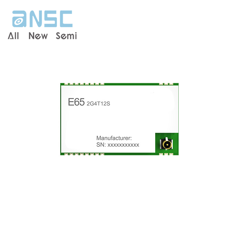 E65-2G4T12S