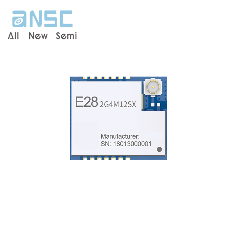 E28-2G4M12SX